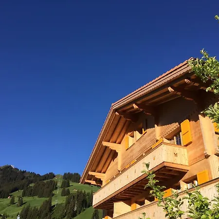 Appartement Butterfly Adelboden