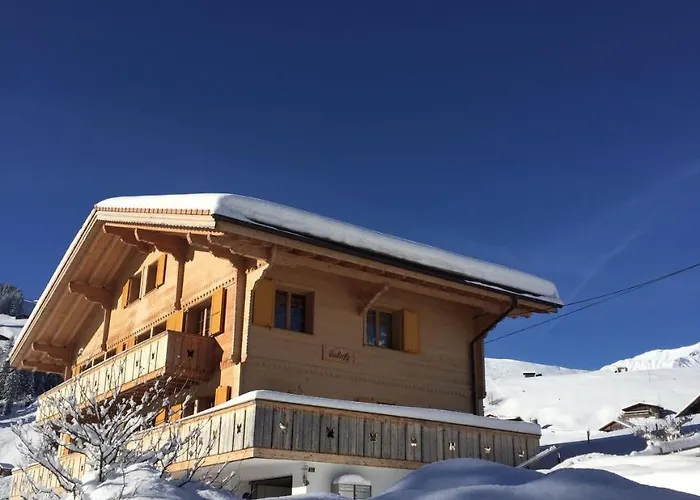 Butterfly Lejlighed Adelboden